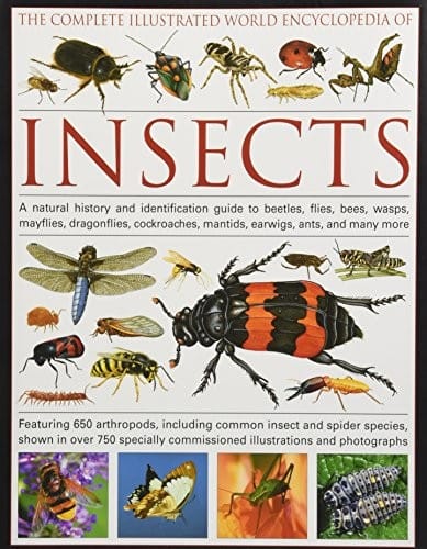 The complete illustrated world encyclopedia of insects