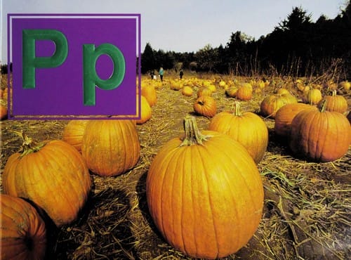 English-language learners resource kit