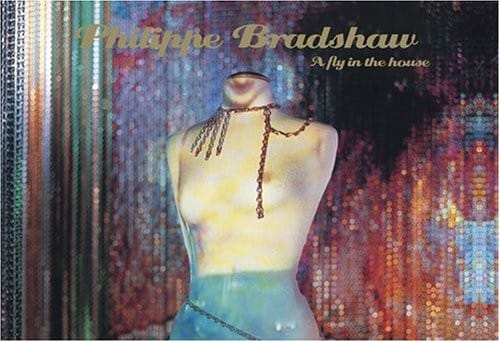 Philippe Bradshaw, a fly in the house. Ausstellung Museum der Moderne, Rupertinum, Salzburg, 25.07. - 31.10.2004