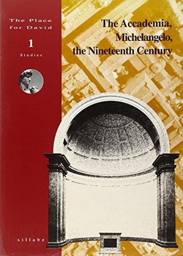 The Accademia, Michelangelo, the nineteenth century