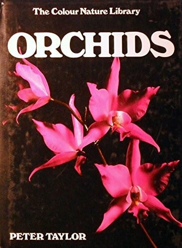 Orchids