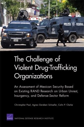 The challenge of violent drug-trafficking organizations