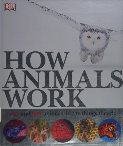 How animals work