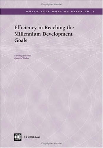 Efficiency in reaching the millennium development goals