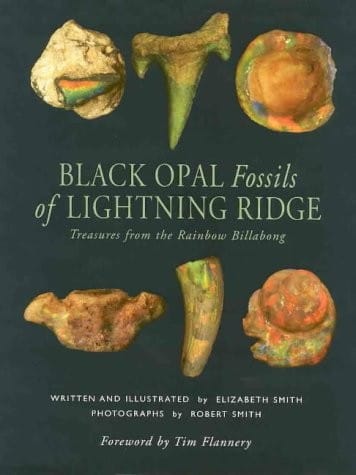 Black opal fossils of Lightning Ridge