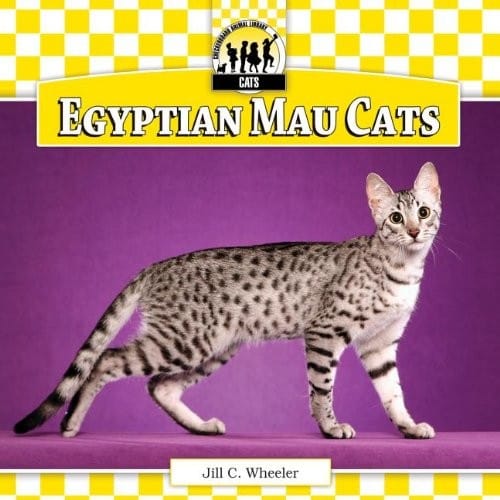 Egyptian mau cats