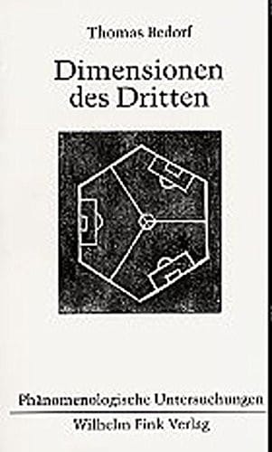 Ph anomenologische Untersuchungen, Bd. 16: Dimensionen des Dritten