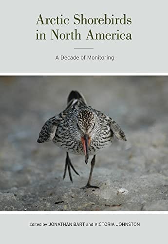 Arctic shorebirds in North America