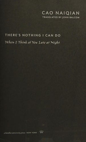 There's nothing i can do when I think of you late at night