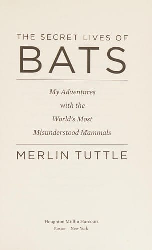 The secret lives of bats