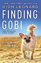 Finding Gobi