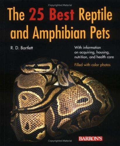 The 25 best reptile and amphibian pets