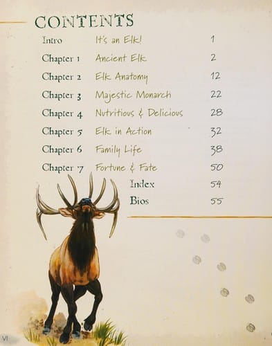 The wild life of elk