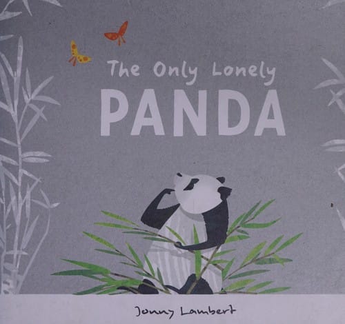 The only lonely panda