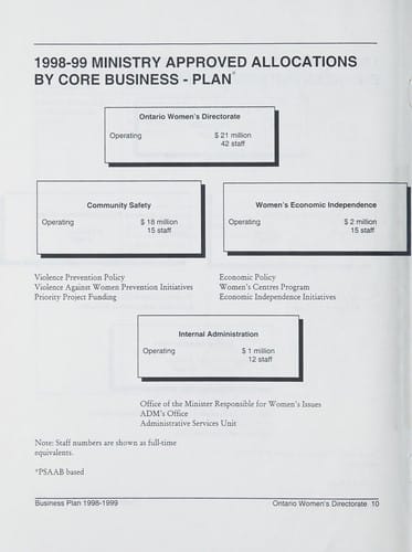 1998-1999 Business plan
