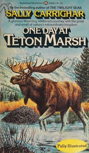 One day at Teton Marsh