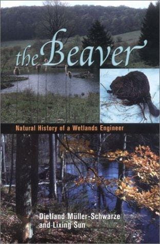The beaver