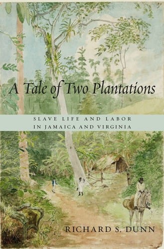 A tale of two plantations