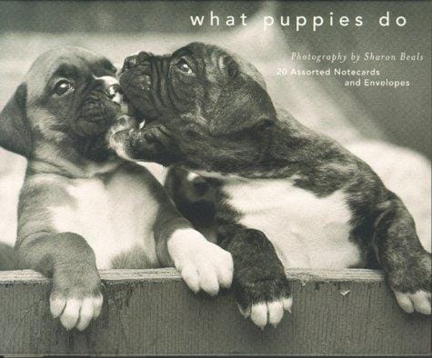 What Puppies Do Deluxe Notecards