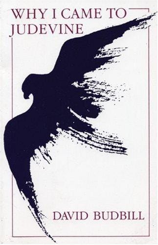 Why I Came to Judevine