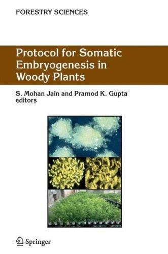 Protocol for somatic embryogenesis in woody plants
