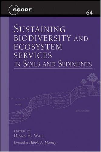 Sustaining biodiversity and ecosystem services in soils and sediments