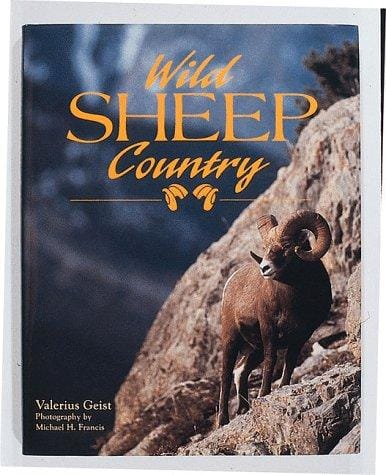 Wild sheep country