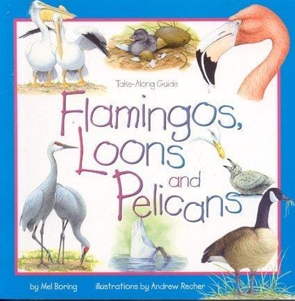 Flamingos, loons, and pelicans