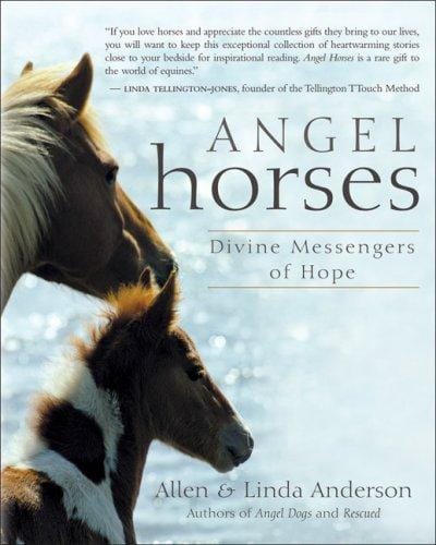 Angel horses