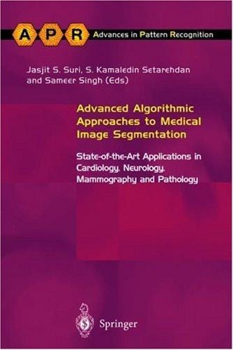 Advanced algorithmic approaches to medical image segmentation