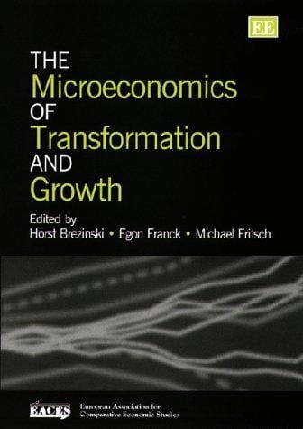 The microeconomics of transformation and growth