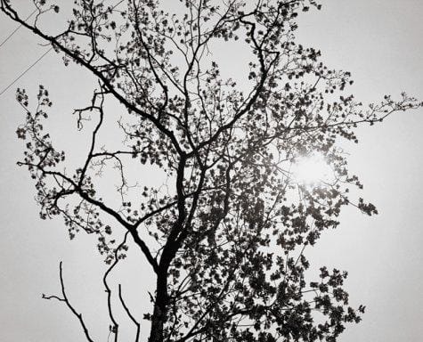 James Welling Photographs