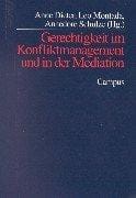 Gerechtigkeit im Konfliktmanagement und in der Mediation
