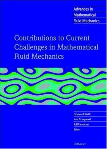 Contributions to current challenges in mathematical fluid mechanics