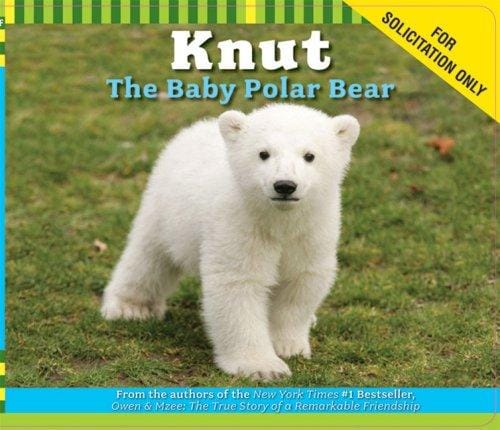 Knut The Baby Polar Bear