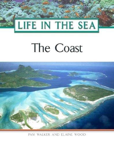 The coast