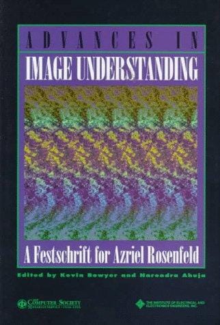 Advances in image understanding