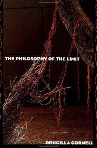 The philosophy of the limit