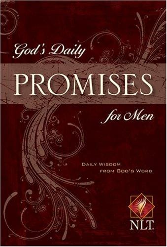 God's daily promises for men