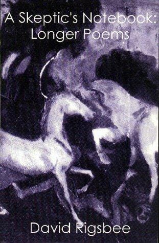 A Skeptic's Notebook