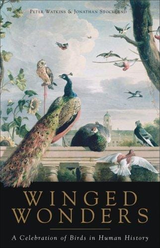 Winged wonders