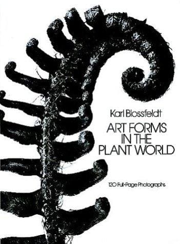 Art forms in the plant world