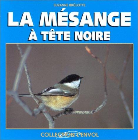 La Mésange à tête noire