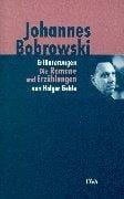 Erläuterungen der Romane und Erzählungen, der Vermischten Prosa und der Selbstzeugnisse