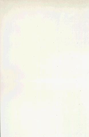 Auf den Hund gekommen. Großdruck. Stories