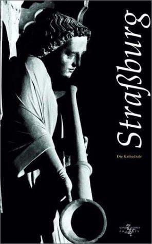 Straßburg. Das Münster