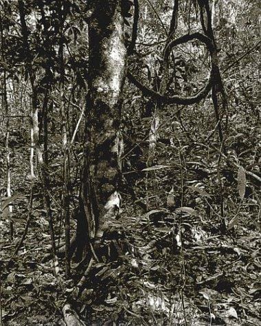 Balthasar Burkhard: Photographer