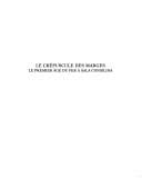 La religion civique à l'époque médiévale et moderne