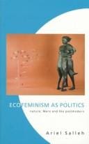 Ecofeminism as politics
