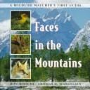 Faces in the mountains